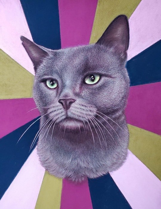 ohioalleycat's tweet photo. Last day of #BlackCatBash! So many fun&amazing baskets
https://t.co/PbRjCa1RJ6
Bidding ends tonight at 9:00!
Reminder: Must be 21 to bid on anything containing alcohol & pick up arranged next week. Fine print’s on auction page!
#givingback #localcommunity #OAR #catsofcincinnati https://t.co/tEtezqB9Xd