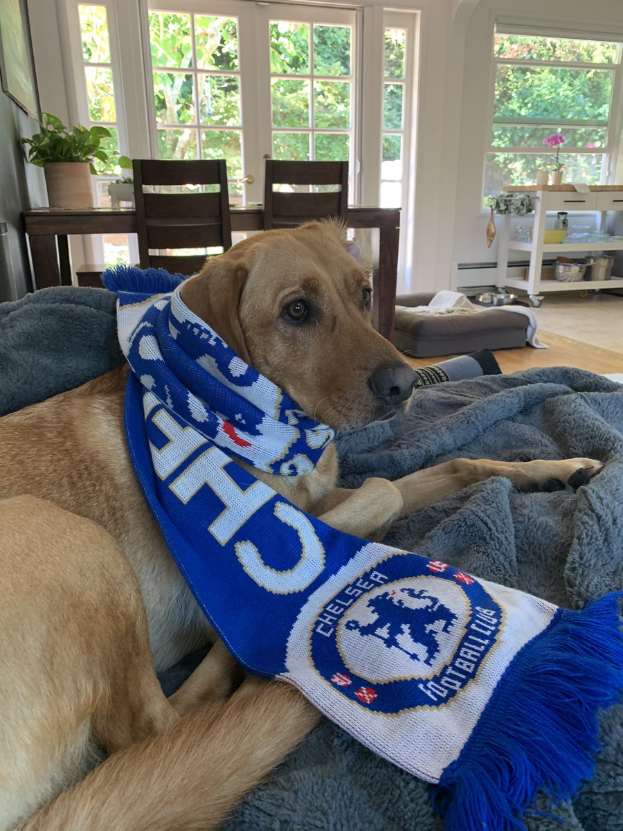 James Harrison tweet media