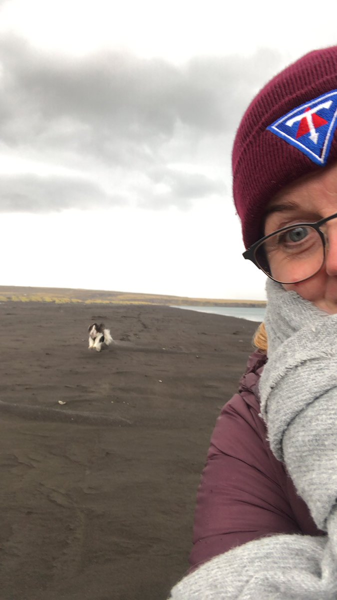 Hundalífið gefur ekkert  frí þó dropar falli 🌨