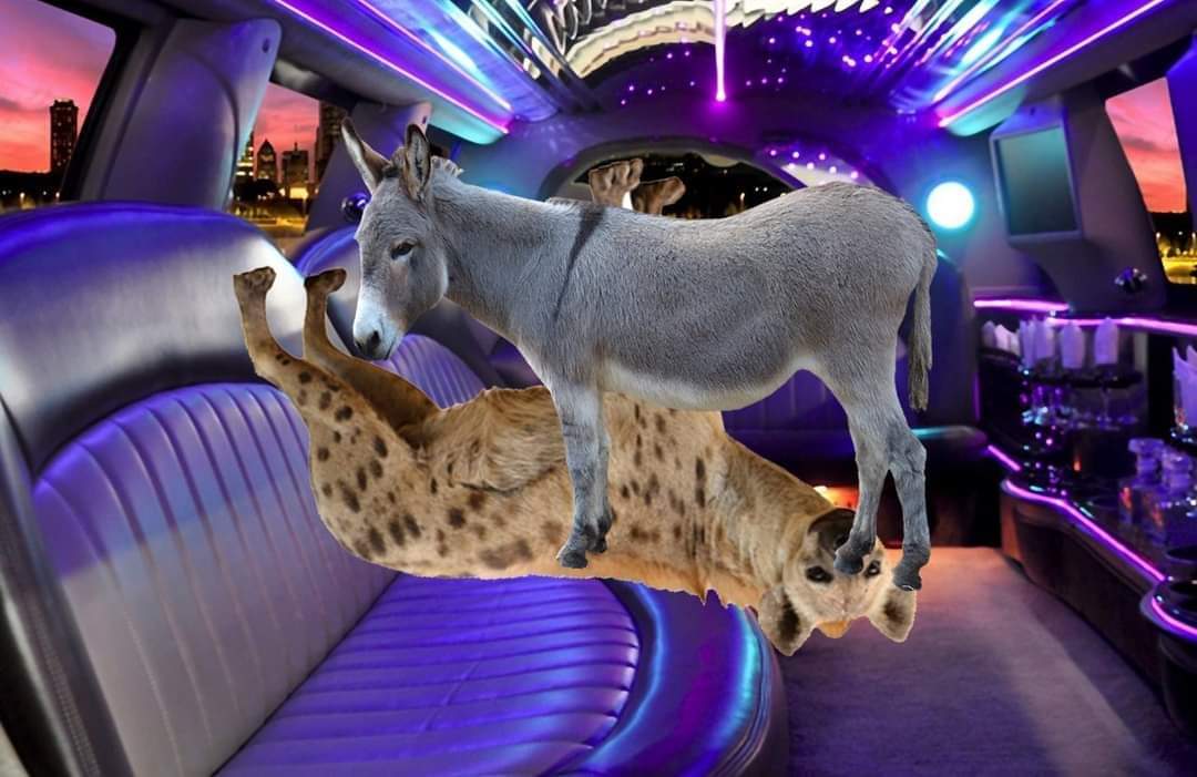 <a href="/TagaArt/">Taga🔞</a> <a href="/POBAROart/">POBARO</a>