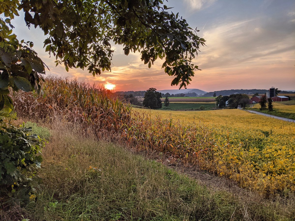 PhotoGrrrrrl (@pgrrrrrl) on Twitter photo 