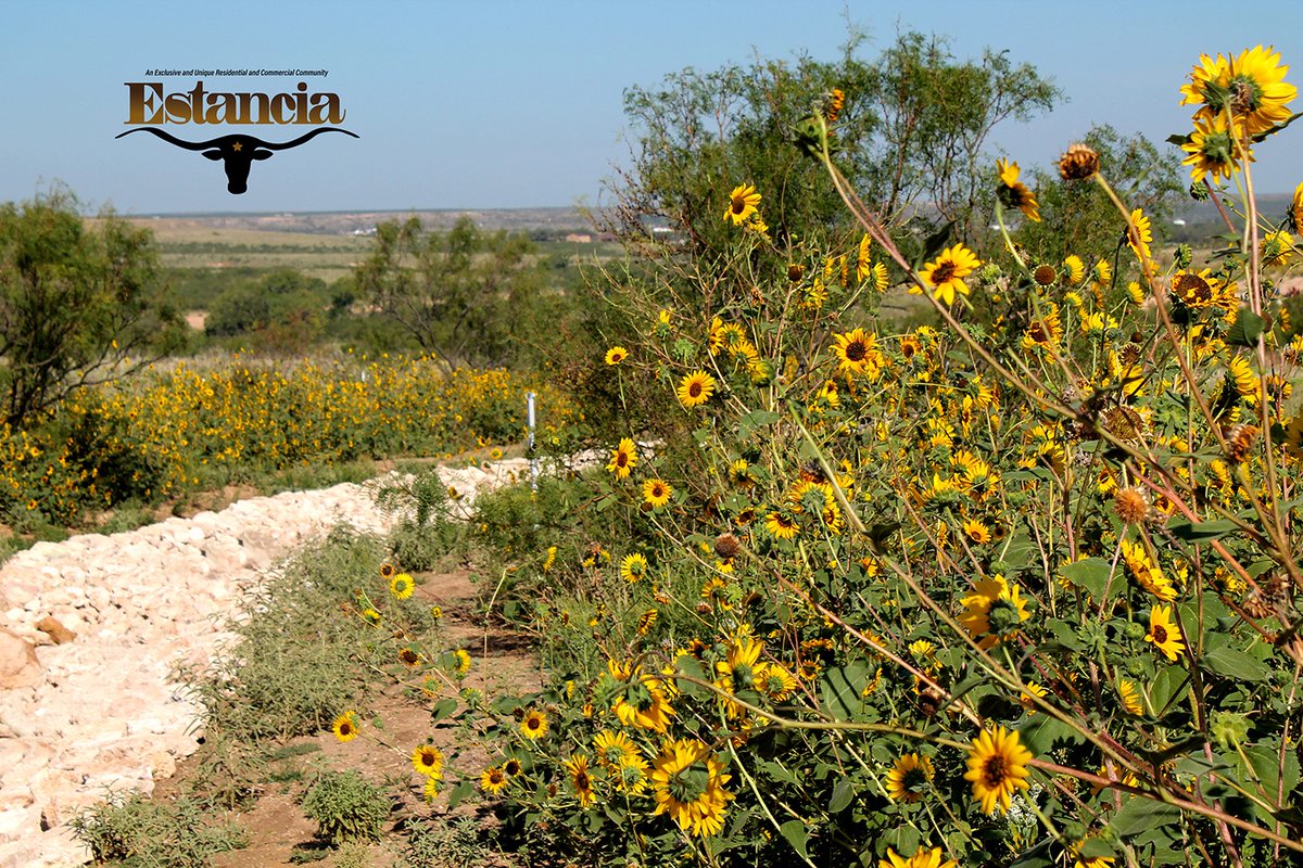 Views of the developing waterfall for the new Estancia Community in Amarillo TX. Water will run down the hill to the stocked pond by the community park. Exciting things are happening!  estancia-amarillo.com #amarillotexas #ResidentialLotsForSale #commercialrealestate