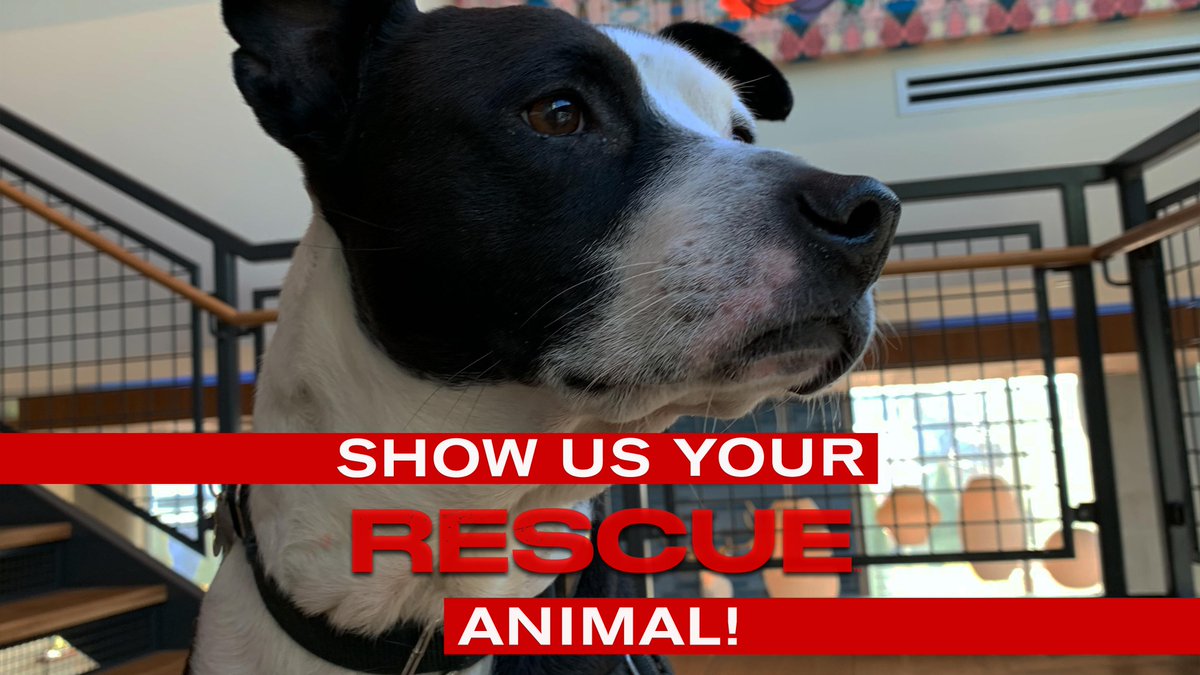 Live Rescue on A&E tweet media