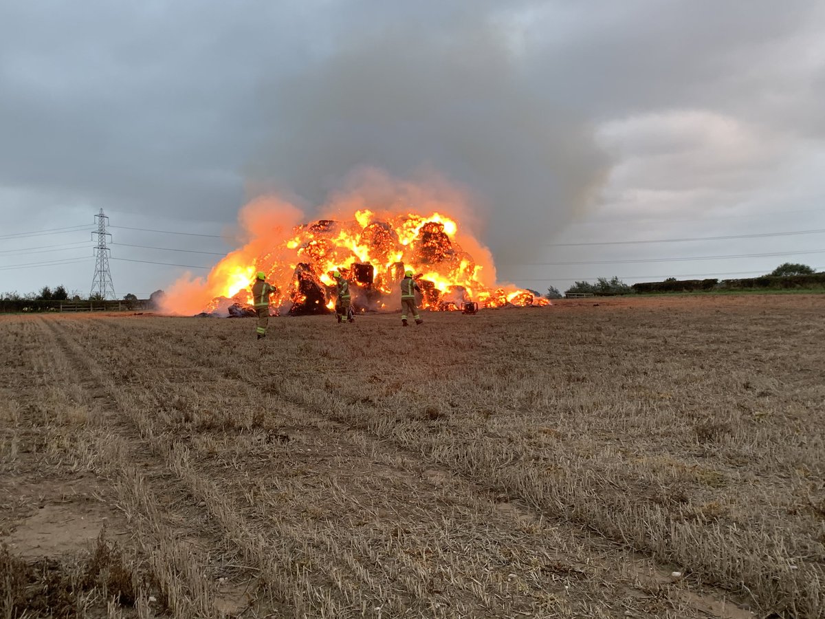 farmernaish's tweet photo. We were already short of straw for covering the carrots before some kind person decided to play with matches!! Many thanks to ⁦@nottsfire⁩ for a swift response. https://t.co/lXjroFtBoY