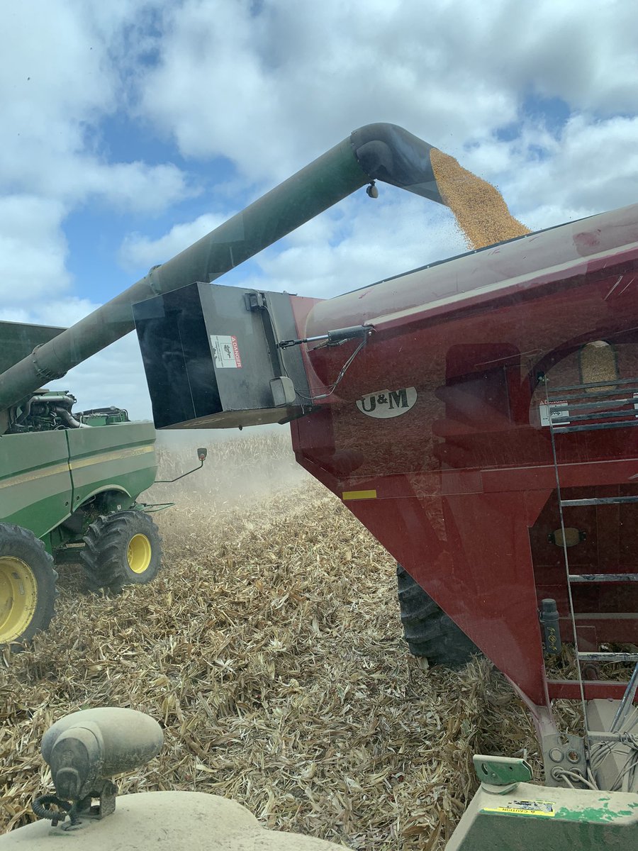 Spent the morning trying to keep <a href="/JMSEEDS33/">JMO</a> from yelling at me