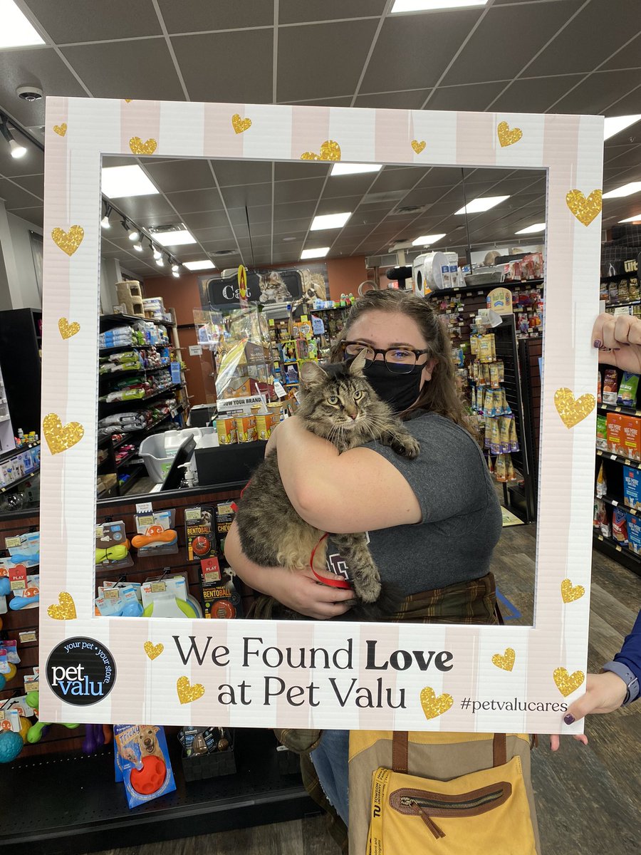 KizzysPlace's tweet photo. Because of @PetValuUS this beauty found his forever! #petvalucares https://t.co/VzrYWIh2XJ