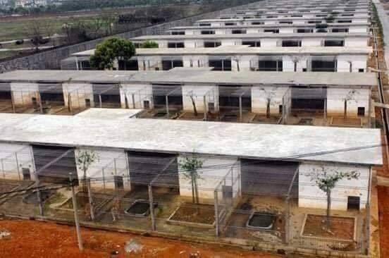 AnimalsInnocent's tweet photo. ⠀
An estimated 7,000 to 8,000 tigers are being farmed today in China 🇨🇳, their bones steeped in alcohol to make tiger bone wine, their meat sold, and their skins turned into rugs for members of China’s wealthy elite.

⠀ https://t.co/to70f9bKVa