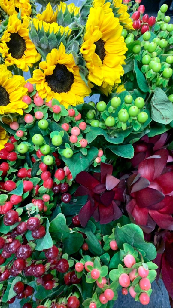 barberflorist's tweet photo. Such gorgeousness!  #florist #Flowers #freshflowers #sunflowers #Hypericumberries #Fall #Autumn https://t.co/Nf3F3YeGZa