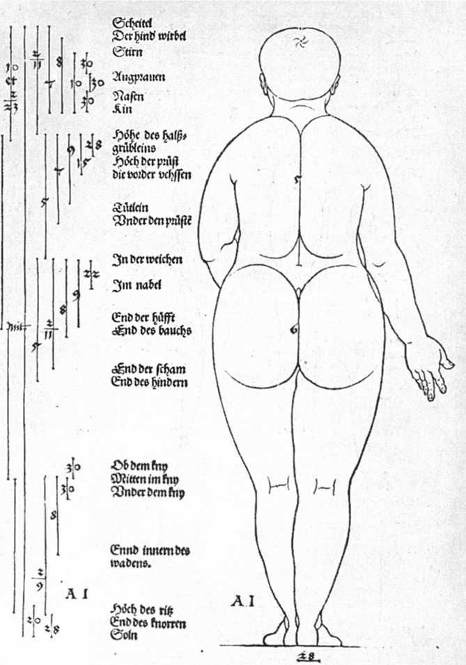 artistdurer's tweet photo. Rear view of the female, 1528 #albrechtdurer #dürer https://t.co/2IGAIpPBdT