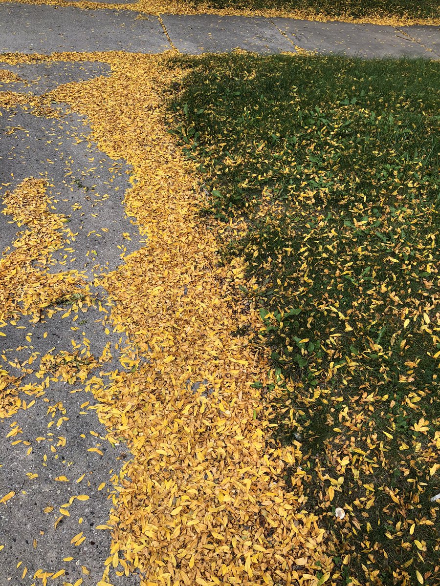 jackwepfer's tweet photo. Nature is a Packers fan https://t.co/Du0ccDCklA