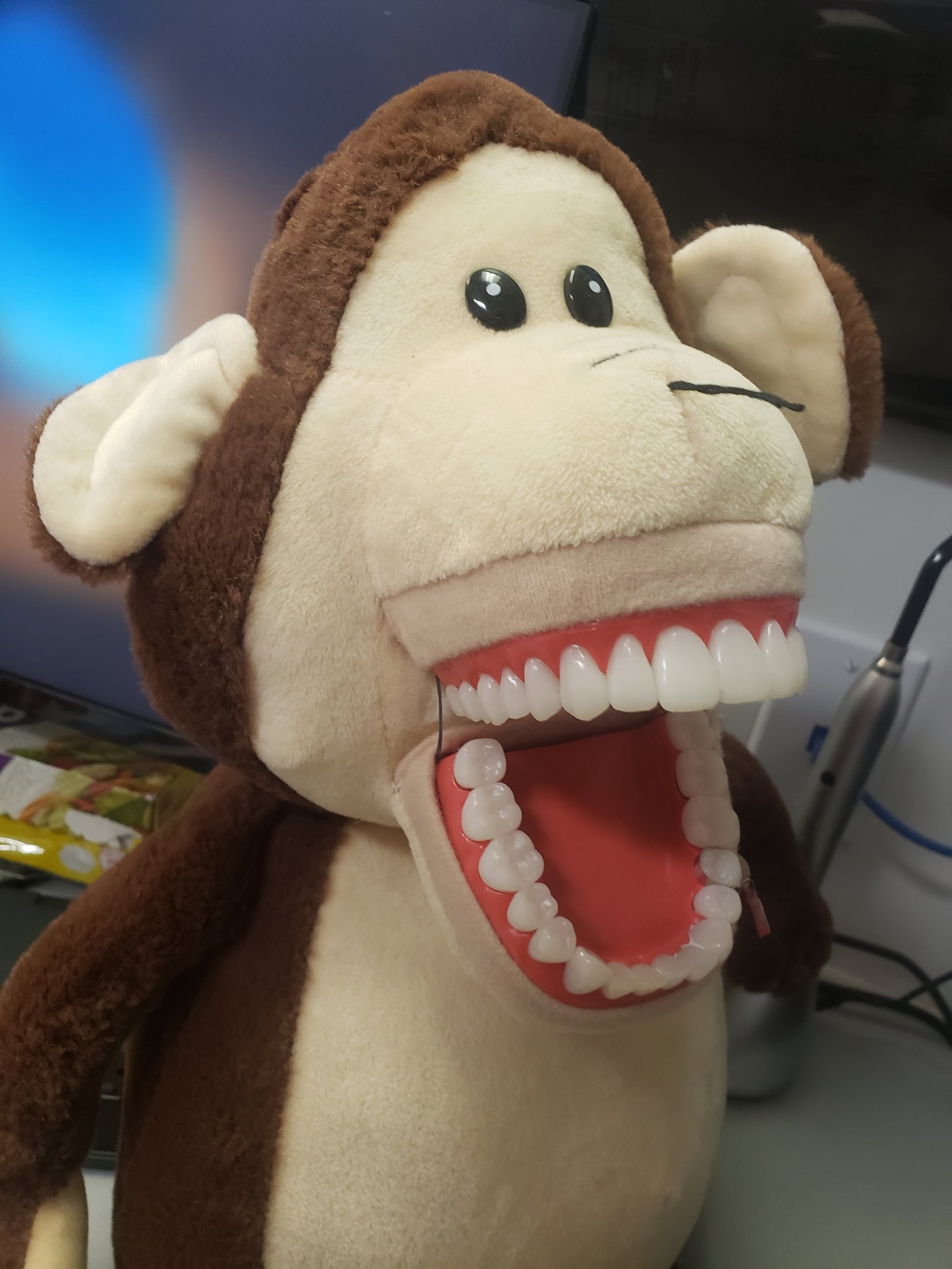 Stuffed animals with clearance human teeth