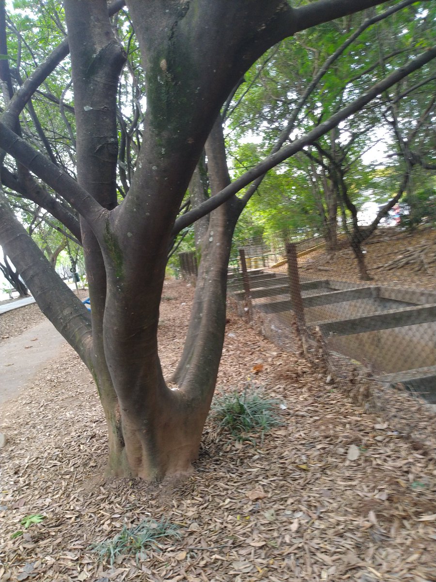 <a href="/terra_ze/">Zé da Terra</a> <a href="/mariafiorotto1/">🌾M F🌾</a> <a href="/gracinhalara/">Lara</a> <a href="/Paulo23412423/">Paulo Roberto</a> Oizinhus 💋 da cidade, minha cidade