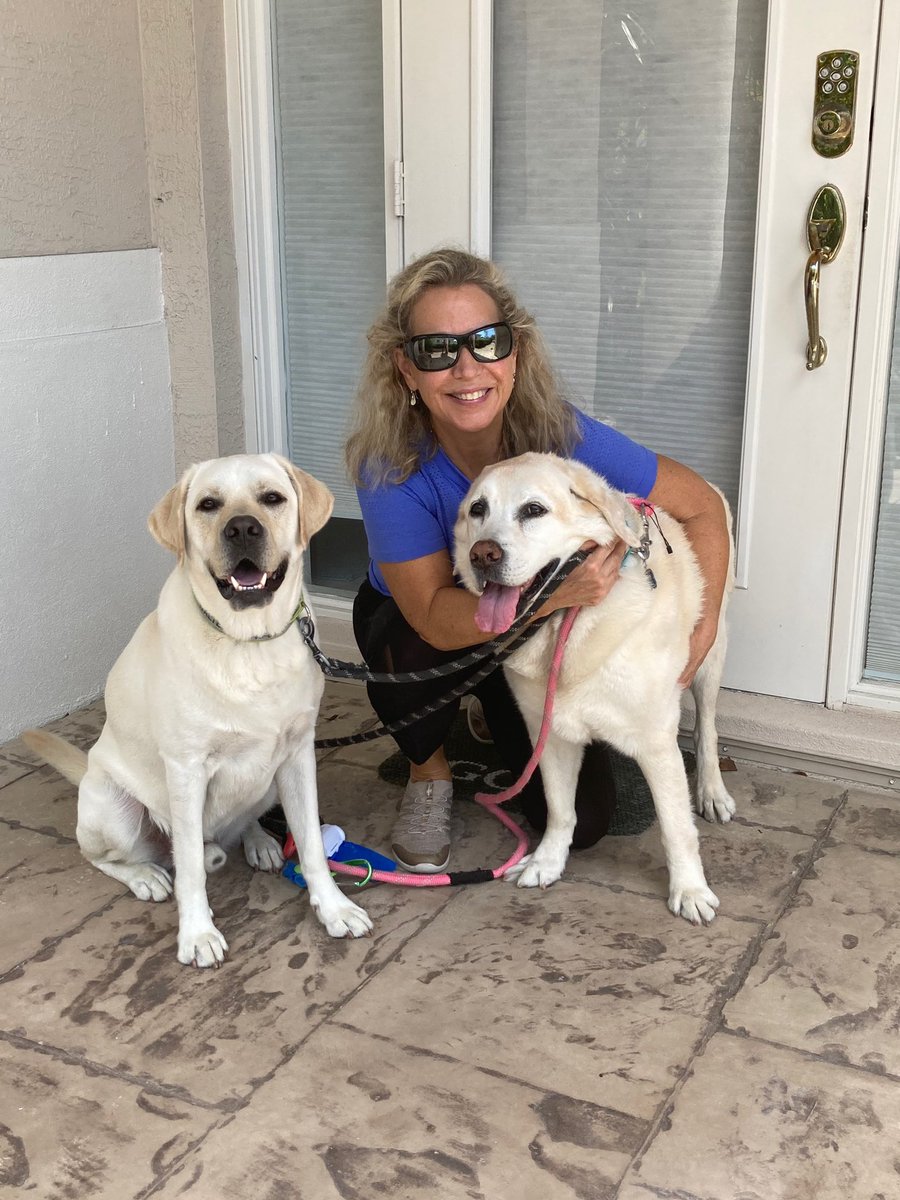 KayDMooney's tweet photo. Thanks to my friend Lisa and her pups Walter and Augie for joining in the #WorldsLargestPetWalk #PetPartners https://t.co/PW4DhJcBPy