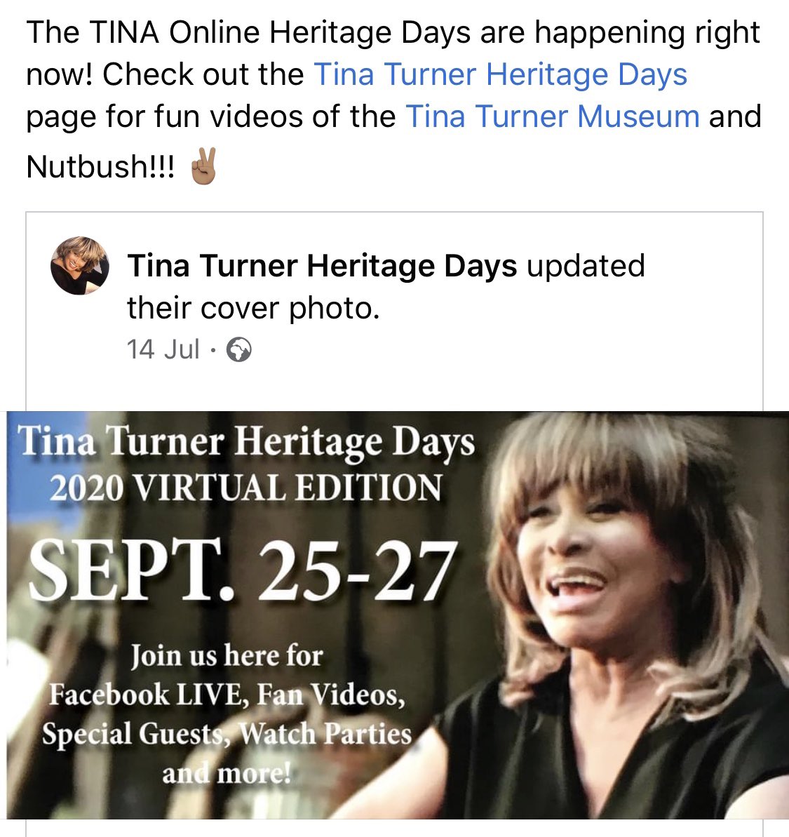 tina turner now tina turner now