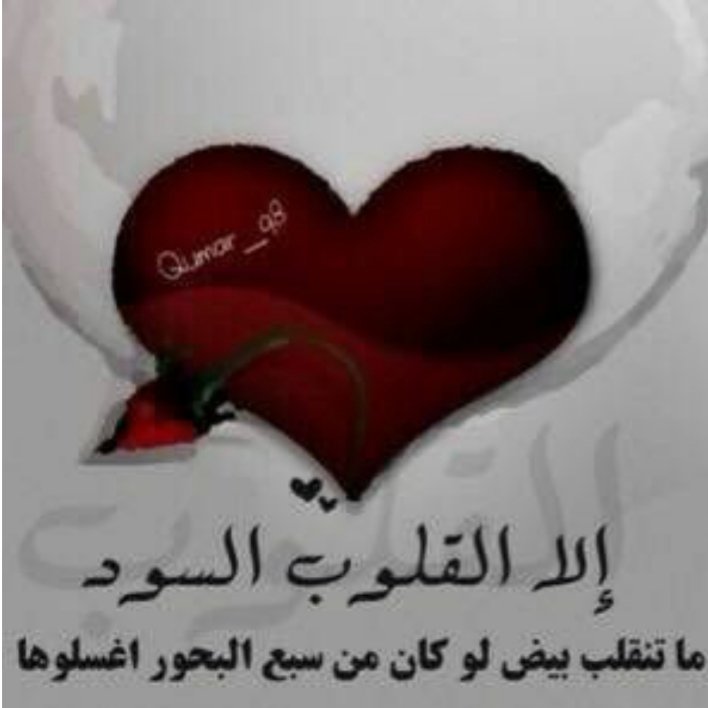 اثناء تناول لحم أخيكَ حياً ،،، لاتنسى اضافة الملح الذي كان بينكما ،،،!