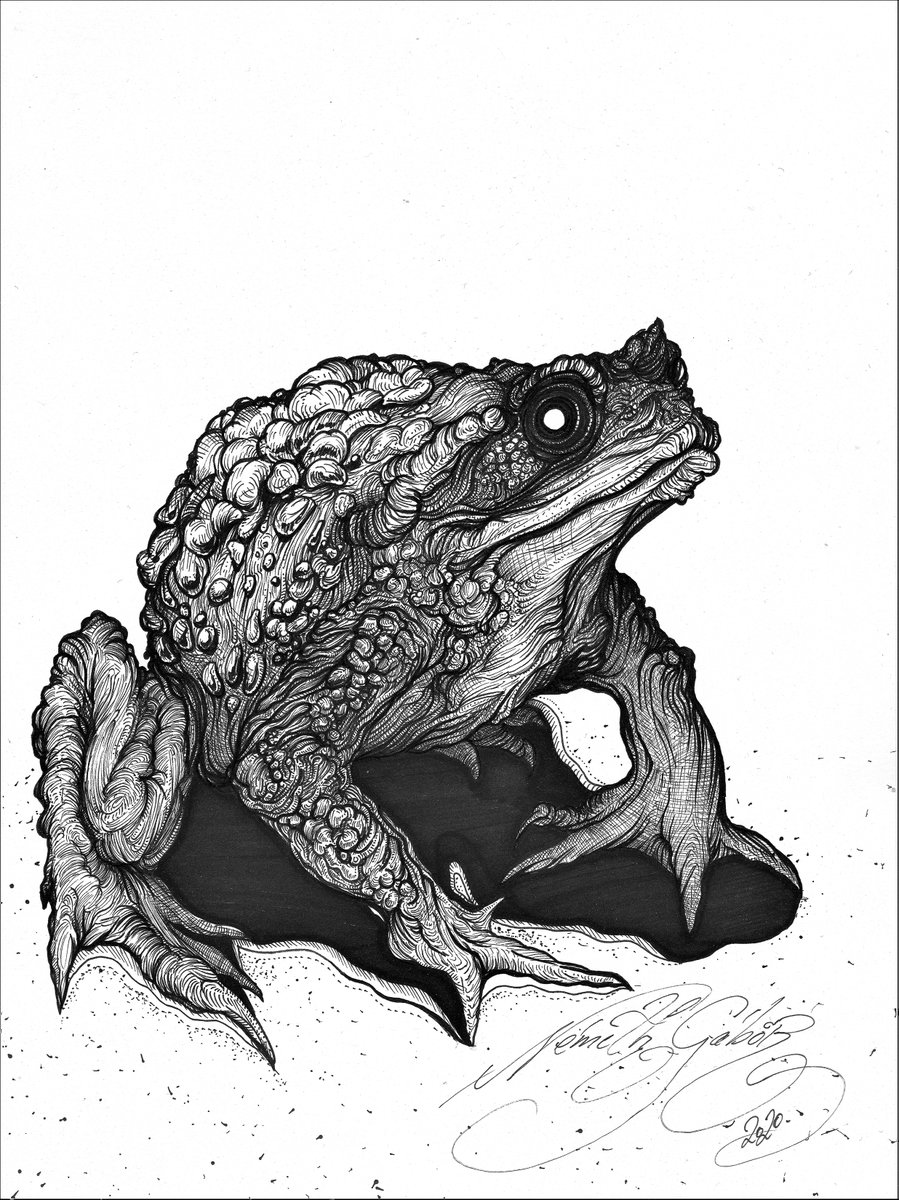 NmethGb85011213's tweet image. Witch's servitor
Pen on paper.
A4 size.

#witchservitor #witch #servitor #artwork #art #penonpaper #pendrawing #drawing #fantasydrawing #toaddrawing #toadartwork #nemeth_gabor_art #németh_gábor #myartwork #traditionaldrawing #fantasyartwork