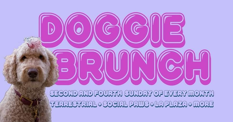 Doggie Brunch, co-hosted w/ Social Paws, tomorrow from 10 AM to 3 PM. Browns game on all TVs with sound, including the BIG screen! 🍻