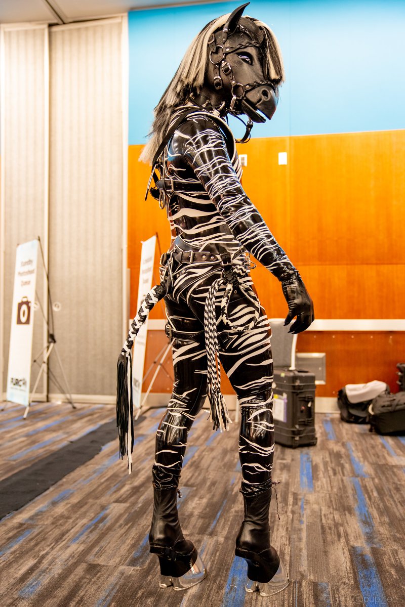 From the last event we attended - <a href="/furcon/">Further Confusion</a> 2020.  Photo by <a href="/Pup_Leo/">Kory💜Miki💙Razz</a>