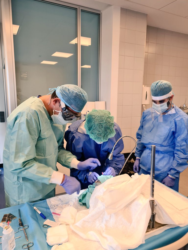 Vaya seminario se han marcado estos fabulosos cirujanos del #hospitallapaz en el cierre de la 1a edición de este curso de Experto, único en Europa, sobre #Fisioterapia en Ttornos. Temporomandibulares y Cefaleas <a href="/LaSalleSaludUAM/">La Salle Facultad Salud</a> <a href="/LaSalleMAD/">La Salle Campus MAD</a> Nos quedamos con ganas de más! PRONTO...