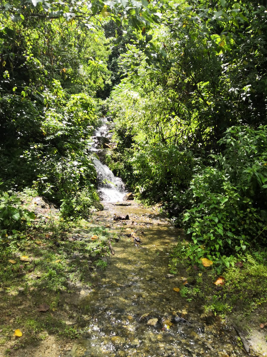 Patricia Landaverde Juárez (PatriciaLanda16) Twitter