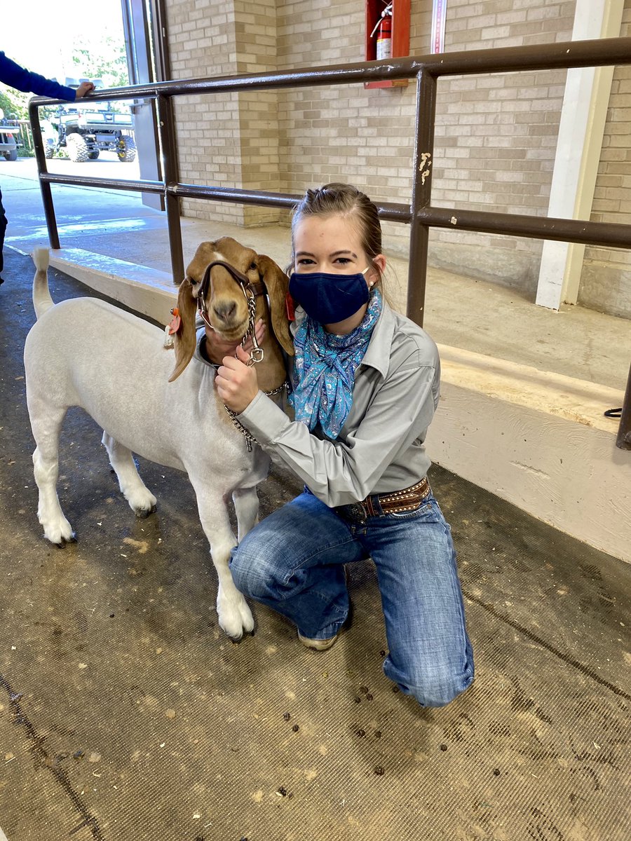 KellerISDFFA's tweet photo. Wishing our senior member Anna Hibbitts good luck as she steps into the show ring at the State Fair of Texas! Good luck kiddo and way to represent Keller FFA! #CTEinKISD https://t.co/IrOInAfnB9