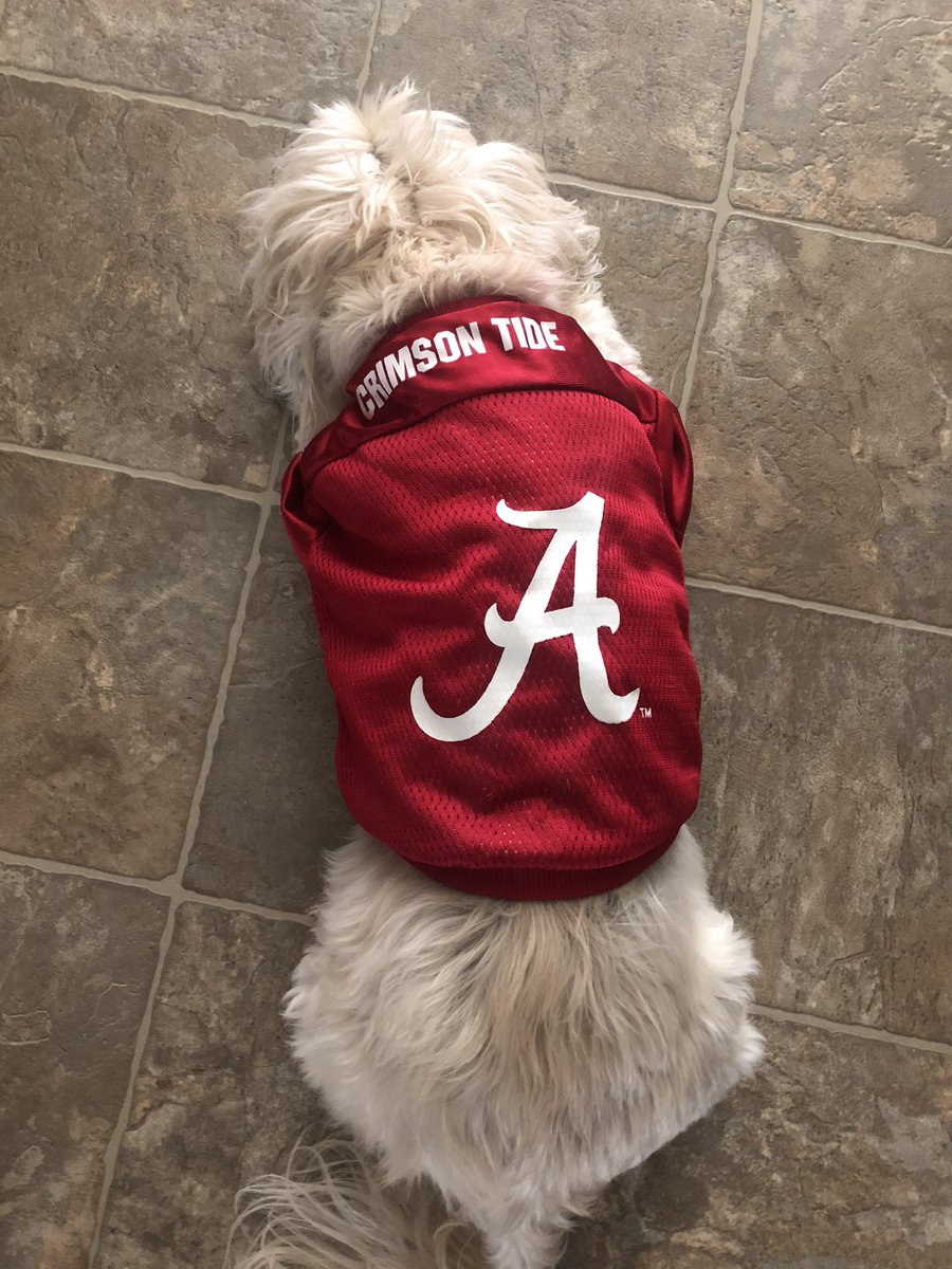thatsillychic's tweet photo. 3 hours and 58sec to go. #RollTide #CollegeFootball https://t.co/K6vUsEcxNR