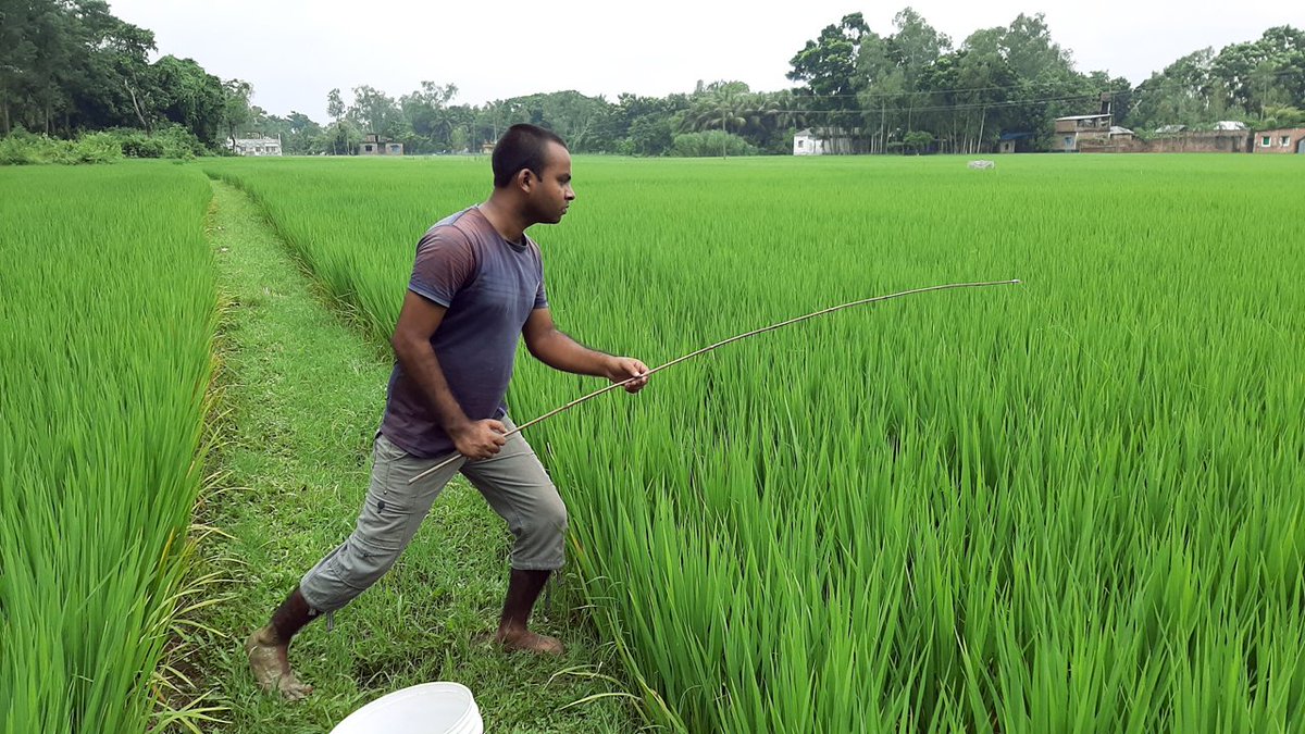 RemiExpress tweet media