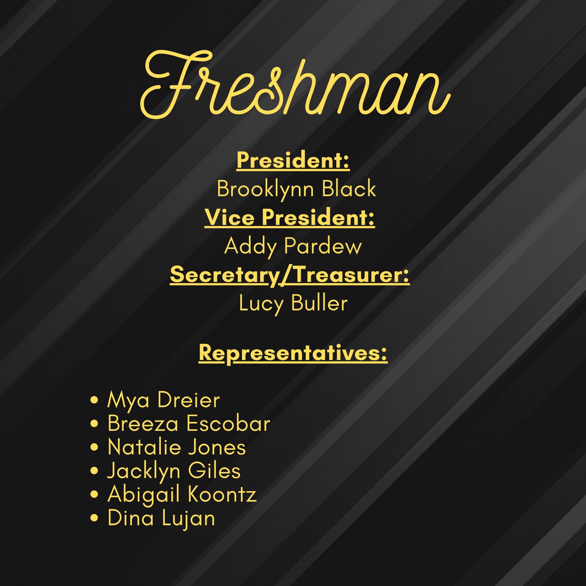 RailerStuCo's tweet photo. Here our your 2020-21 Student Council results! Congratulations everyone! #railerpride #railerfamily https://t.co/iXk0nNV1MD