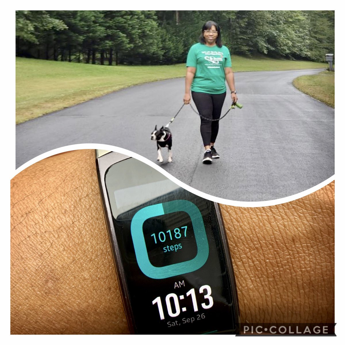 On the move with @thelinksinc Walk for Healthy Living 25th Annual Walk-a-thon #LinksOnTheMove  #walkforhealthyliving #linkswalk25 #LinksWalk25 #LinksOnTheMove25 #easternarealinks #odclinks