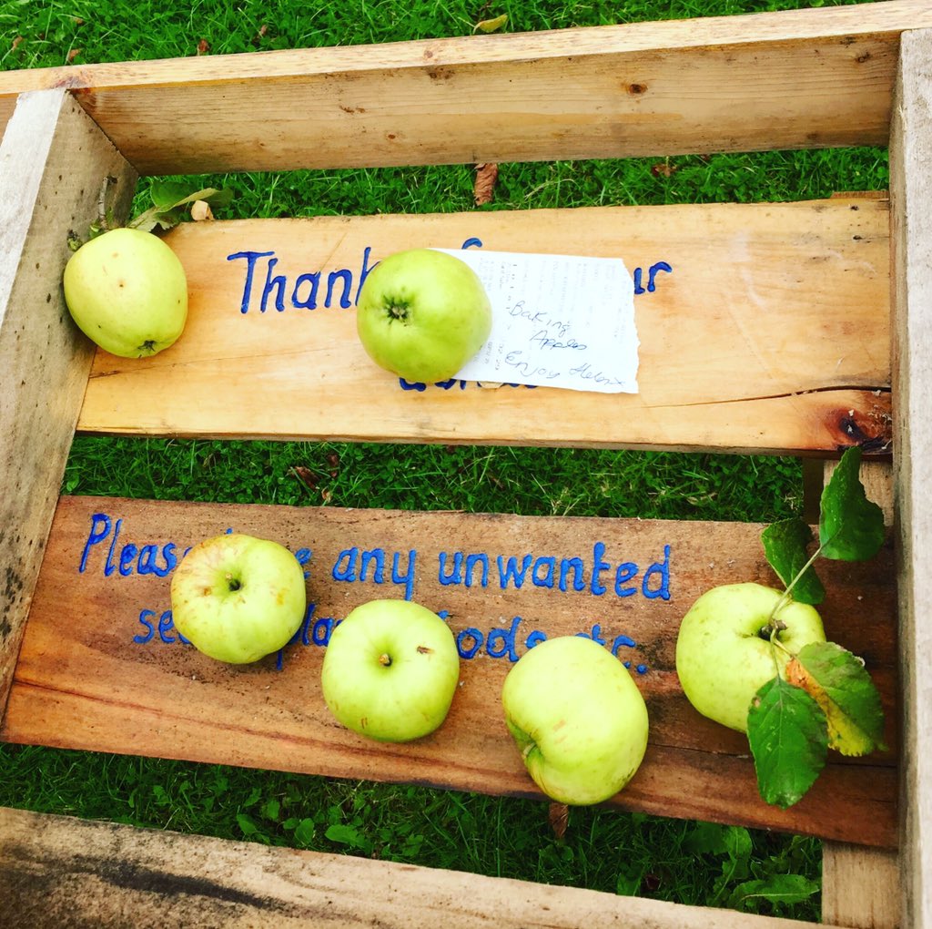 croxtethgarden's tweet photo. Thank you Helen! 💚🍏
#community #communitygarden #thanks #thankyou #freefood #donate #sharingiscaring #growyourown #liverpool #croxteth #l11 #apple #cookingapple #bakingapple https://t.co/xfphQR7h1t