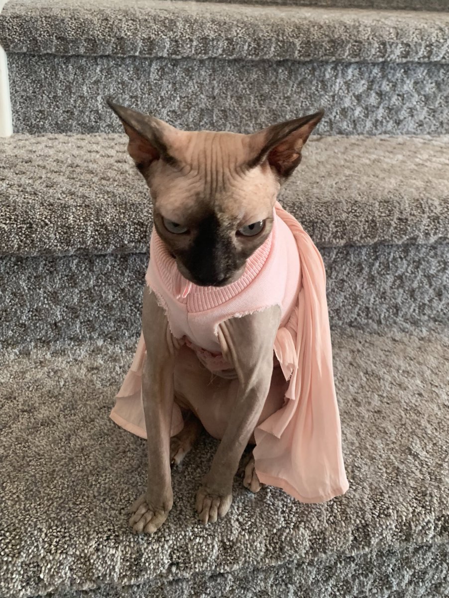 hairlesswinnie's tweet image. i feele funking ridiculose