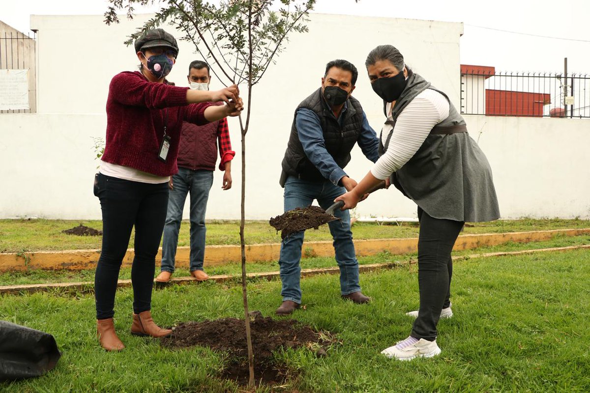 GabyGamboa_S's tweet photo. Continuamos trabajando en la campaña de #Reforestación2020. Hicimos trabajo comunitario con las vecinas y vecinos del Fraccionamiento Izcalli Cuauhtémoc I y de la Colonia Llano Grande. Cada que sembramos un árbol, sembramos vida y esperanza. #MetepecVerde #Agenda2030 https://t.co/HY7MUZF7AE