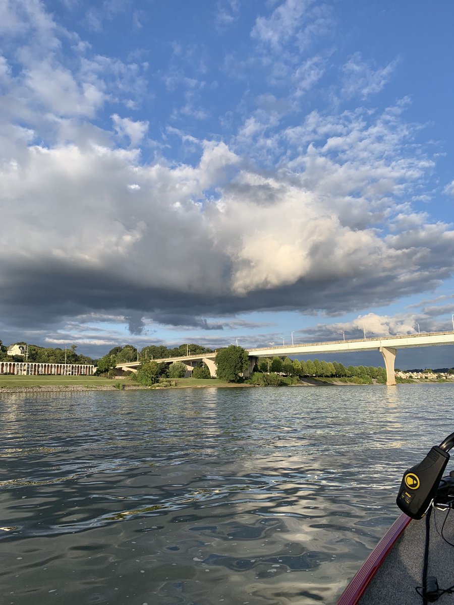 Steve Underwood tweet media