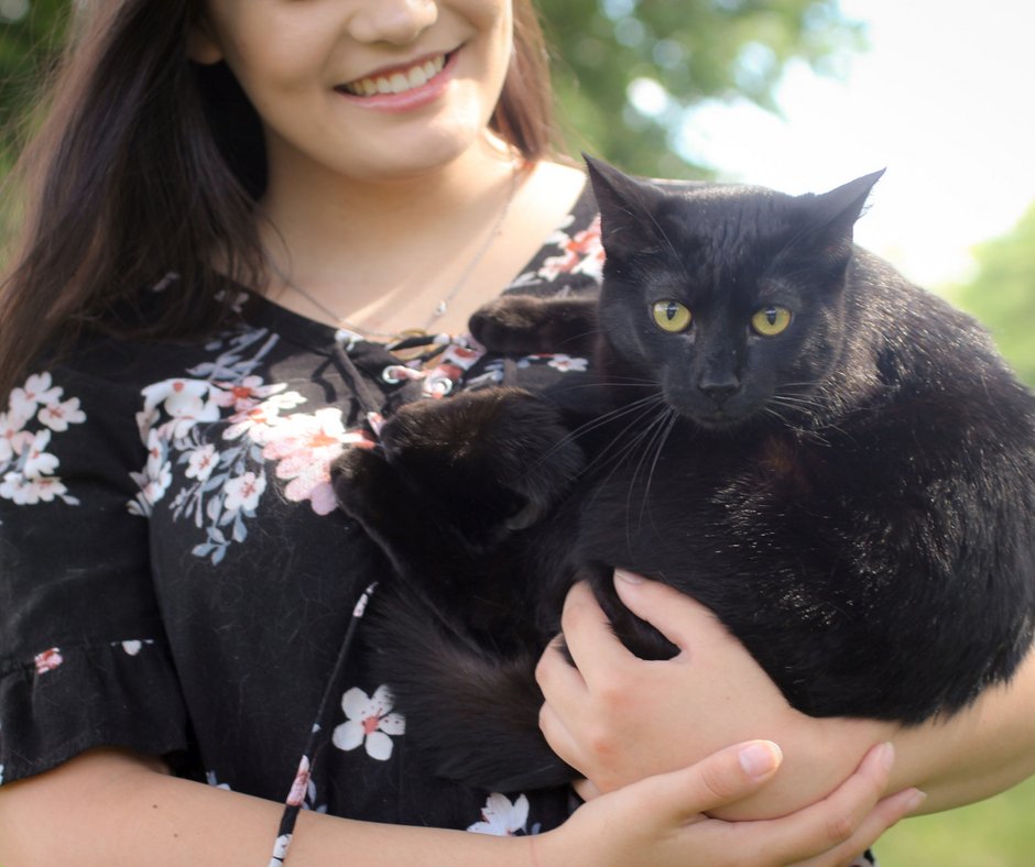 AmServicePets's tweet image. Cats dream, just like people do.What do you think they dream about?