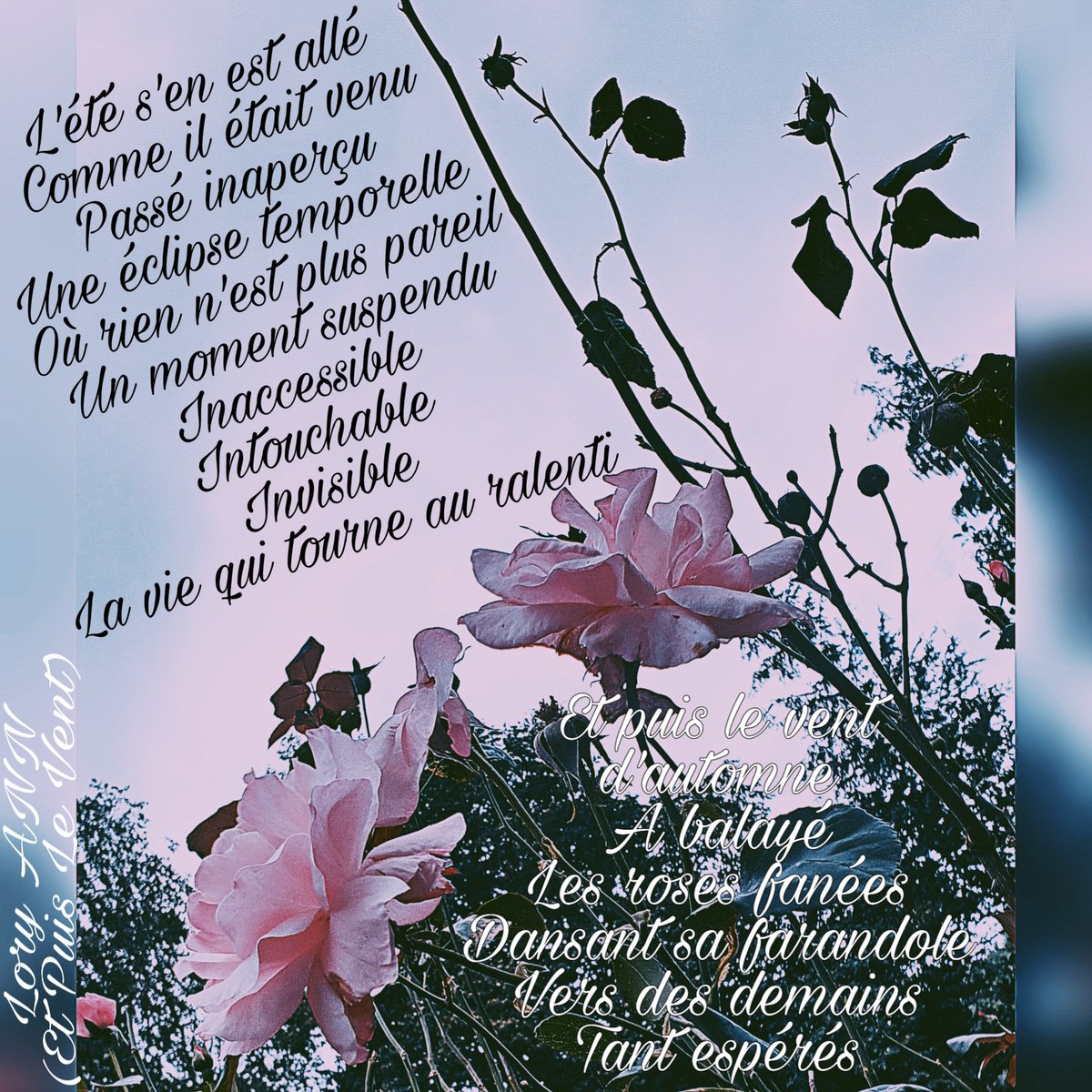 LoryANN_Lyrics's tweet photo. #LoryANN #LoryANNLyrics #EtPuisLeVent https://t.co/GVIIcnMEUh https://t.co/8IPCy2RUoE https://t.co/5fNYrD8DuZ