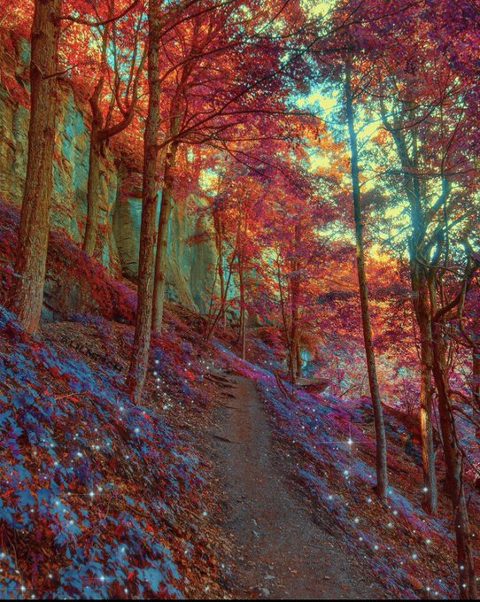 Watch 🔥Haute and Cold🧊's leaked NSFW photo on TwXstars