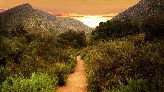 Itching to get outside and stretch your legs? Mission Trails Regional Park is in the middle of the city with over 7,000 acres including a beautiful lake and groomed trails!
ow.ly/LnxS50BC8BV
#MissionTrailsRegionalPark  #Hiking  #FamilyActivities