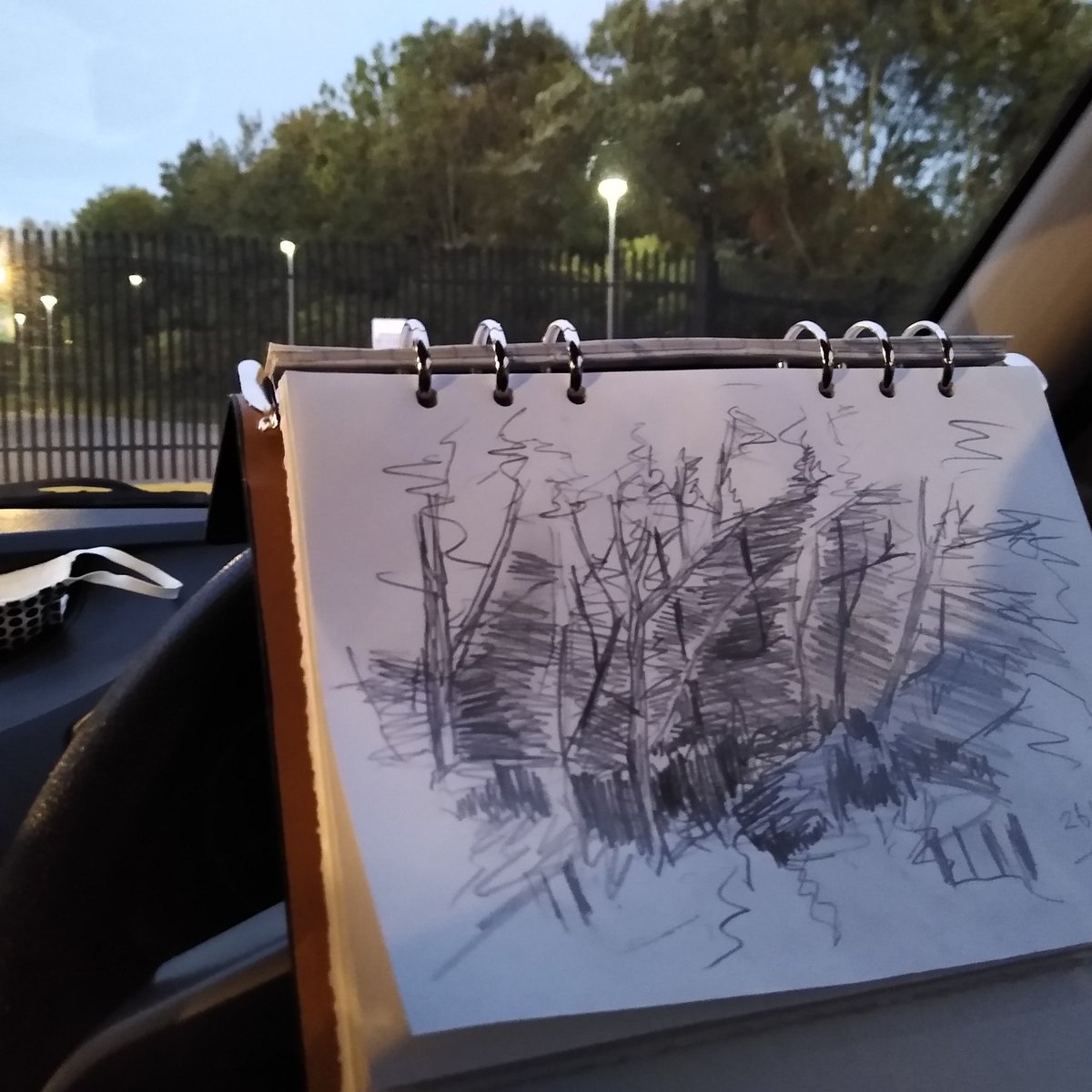 allister_jo's tweet image. Word of the day - #psithirism (sound of wind through trees).

Attempting to capture the movement during my break. More  practice needed...

#treed #drawing #spiritoflife #trytrytryandtryagain #practice