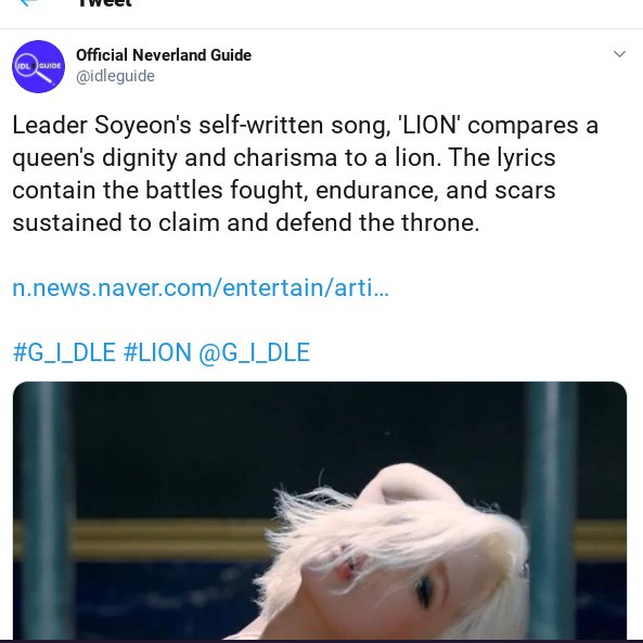 the concept of song lion was created because soyeon wanted to go see lion king but couldn't, but the lyrics are inspired by idle's fight to get to the place they are now. in no way is it "tribal" or "african".