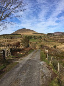 PhilipOCallagha's tweet image. Eileen &amp;amp; gang from parked cars at Torc &amp;amp; we drop them to Kenmare to walk back Old Kenmare Road in the sunshine To book this trip give us a call 0646631095 for a no obligation quote. Guaranteed great value for money and a great day out.......