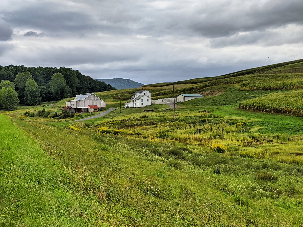 PhotoGrrrrrl (@pgrrrrrl) on Twitter photo 