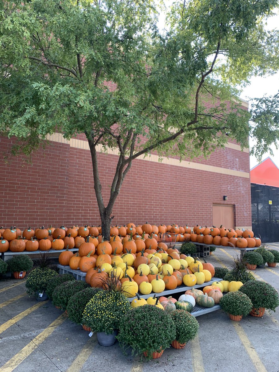 Katie Harris tweet media