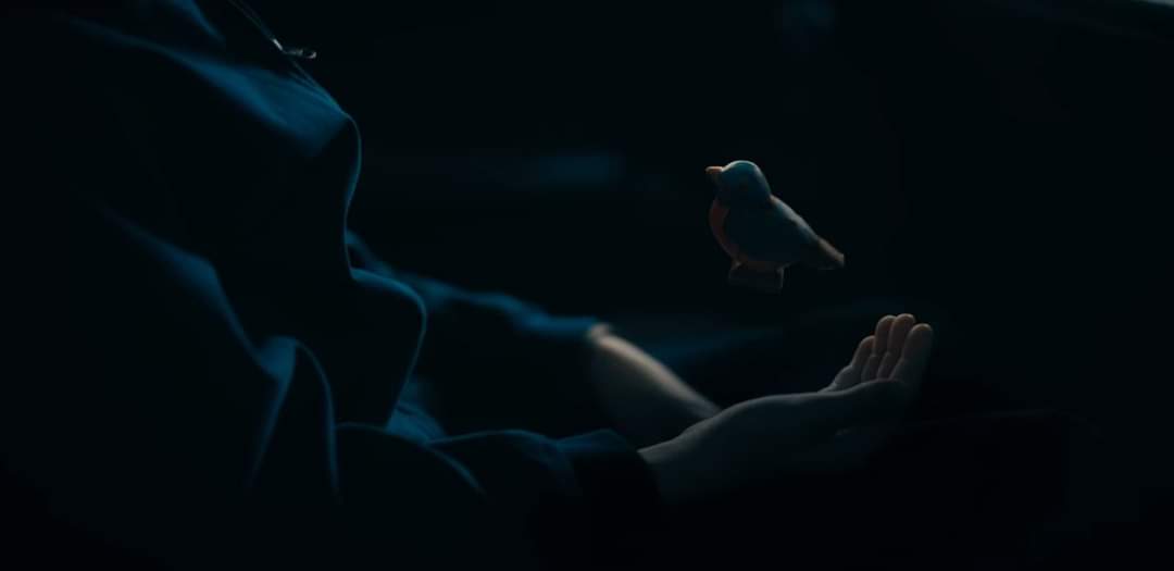 Dica do Número 1 da Sparrow Academy??