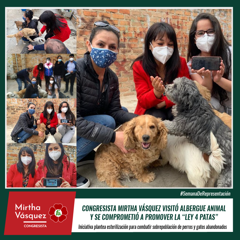 MirtyVas's tweet photo. Ayer visité albergue animal "Mi Pequeño Hermano", donde dialogué con activistas animalistas y me comprometí a promover la "Ley 4 patas", una iniciativa que plantea la esterilización para combatir sobrepoblación de perros y gatos abandonados

#Ley4PatasYA
#SemanaDeRepresentación https://t.co/5ypsbi6hVh