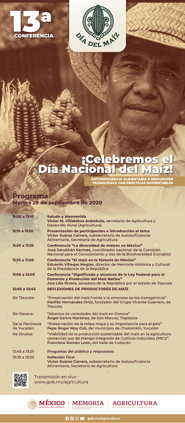Este 29 de septiembre #DíaDelMaíz celebraremos a nuestro milenario maíz hablando desde diversos planos: legislativo, productivo, de agrodiversidad, histórico y cultural. Es a las 11am, ¡No te lo pierdas! Sigue la conferencia por youtube.com/agricultura_mex
