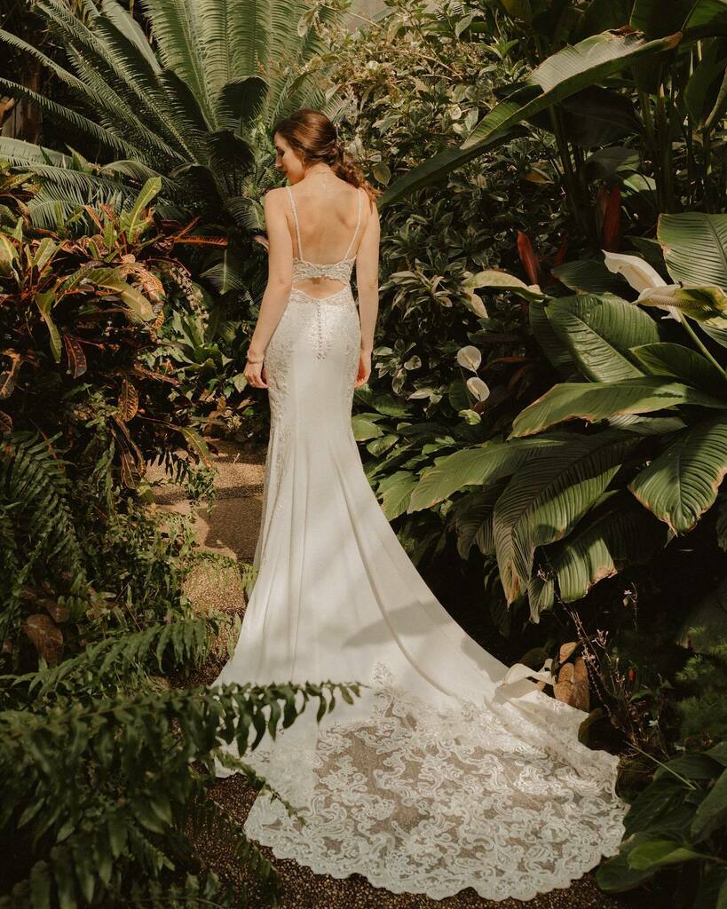 Would wear this dreamy dress again any day. Magical, perfect weekend.
Captured by the brilliant @annajon.es
.
.
.
#plantpeople #green #wedding #dreamwedding #firstlook #desmoinesbotanicalgarden #loveofmylife #desmoinesphotographer #desmoines #destinat… https://t.co/F7SDoxJ7Pi https://t.co/4t3Zel8Iz6