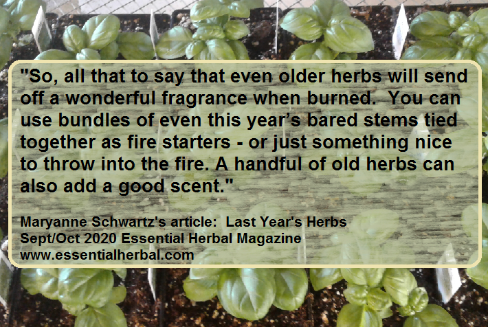 EssentialHerb's tweet photo. https://t.co/RiyAXLBG59