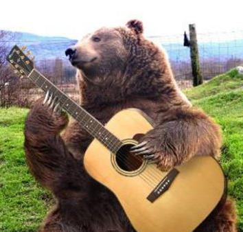 Who is ready for some entertainment? #BearsLikeMusic . #KodiakStrong #rocknroll #BuildCO #BuildUSA