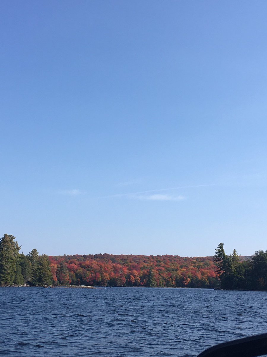LacrosseSB's tweet photo. @DomStarsiaPLL Think we are just a little bit north if you. Blinding colors of Cranberry Lake, NY. https://t.co/TZIpRO5osr