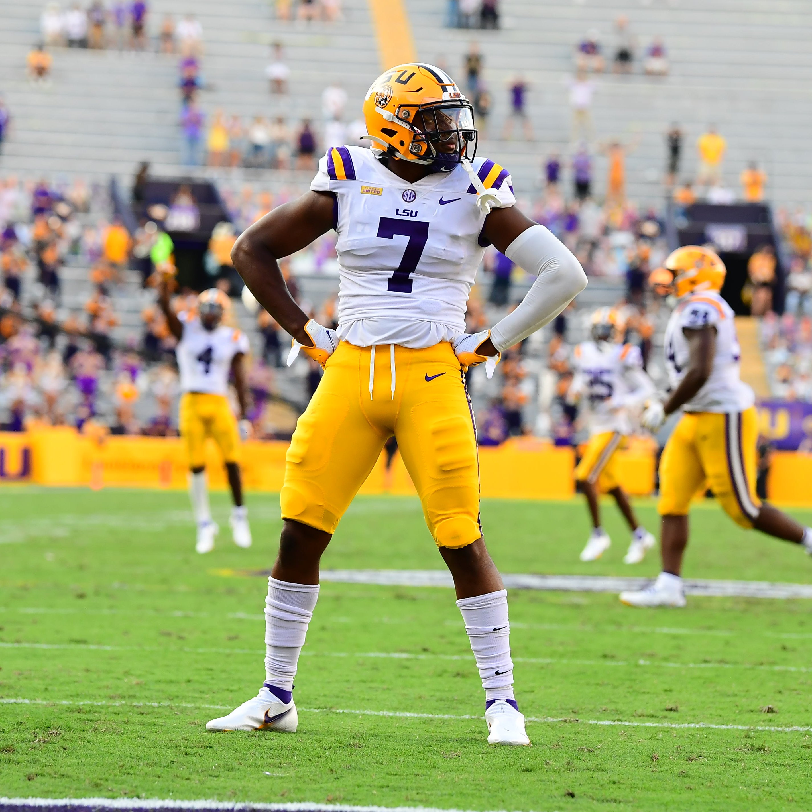 Lsu 2024 honey badger